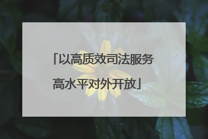以高质效司法服务高水平对外开放
