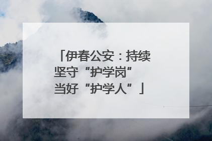 伊春公安：持续坚守“护学岗” 当好“护学人”
