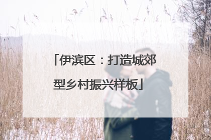 伊滨区：打造城郊型乡村振兴样板