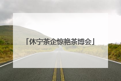 休宁茶企惊艳茶博会