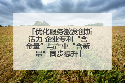 优化服务激发创新活力 企业专利“含金量”与产业“含新量”同步提升