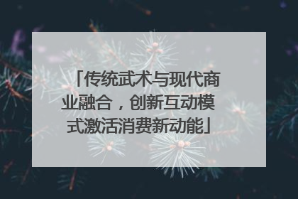 传统武术与现代商业融合，创新互动模式激活消费新动能