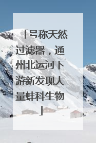号称天然过滤器，通州北运河下游新发现大量蚌科生物