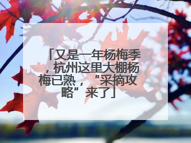 又是一年杨梅季，杭州这里大棚杨梅已熟，“采摘攻略”来了