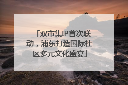 双市集IP首次联动，浦东打造国际社区多元文化盛宴
