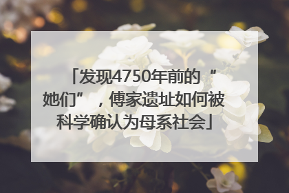 发现4750年前的“她们”，傅家遗址如何被科学确认为母系社会