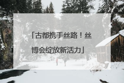 古都携手丝路！丝博会绽放新活力
