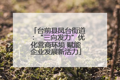 台前县凤台街道：“三向发力”优化营商环境 赋能企业发展新活力