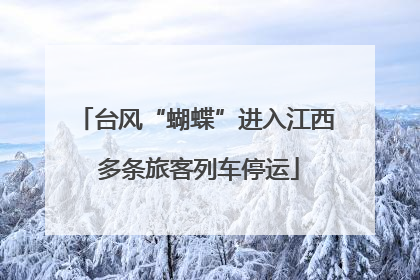 台风“蝴蝶”进入江西 多条旅客列车停运