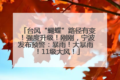 台风“蝴蝶”路径有变！强度升级！刚刚，宁波发布预警：暴雨！大暴雨！11级大风！