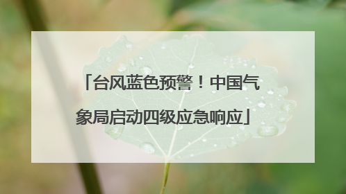 台风蓝色预警！中国气象局启动四级应急响应