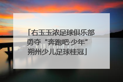 右玉玉浓足球俱乐部勇夺“奔跑吧·少年”朔州少儿足球桂冠