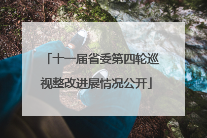 十一届省委第四轮巡视整改进展情况公开