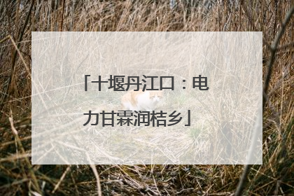 十堰丹江口：电力甘霖润桔乡