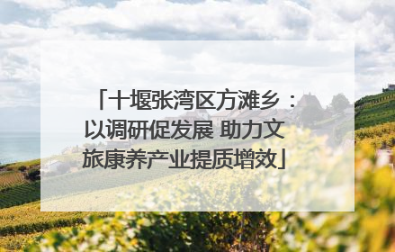 十堰张湾区方滩乡：以调研促发展 助力文旅康养产业提质增效