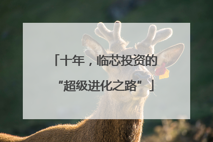 十年，临芯投资的“超级进化之路”