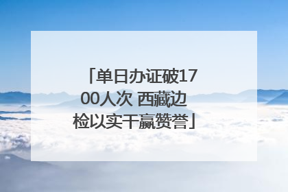 单日办证破1700人次 西藏边检以实干赢赞誉