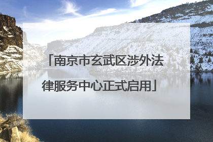 南京市玄武区涉外法律服务中心正式启用