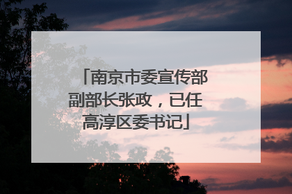南京市委宣传部副部长张政，已任高淳区委书记