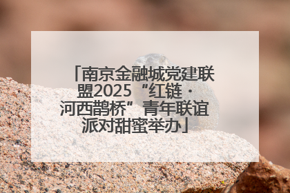 南京金融城党建联盟2025“红链・河西鹊桥”青年联谊派对甜蜜举办