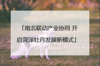 南北联动产业协同 开启菏泽牡丹发展新模式