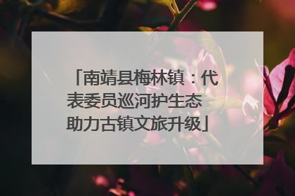 南靖县梅林镇：代表委员巡河护生态 助力古镇文旅升级