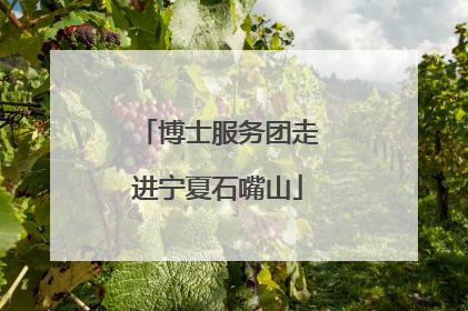 博士服务团走进宁夏石嘴山
