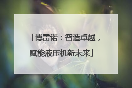 博雷诺：智造卓越，赋能液压机新未来
