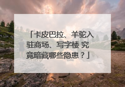 卡皮巴拉、羊驼入驻商场、写字楼 究竟暗藏哪些隐患？