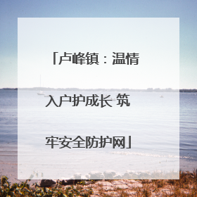 卢峰镇：温情入户护成长 筑牢安全防护网