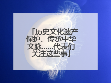 历史文化遗产保护、传承中华文脉……代表们关注这些事