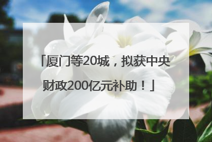 厦门等20城，拟获中央财政200亿元补助！