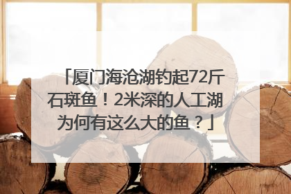 厦门海沧湖钓起72斤石斑鱼！2米深的人工湖为何有这么大的鱼？