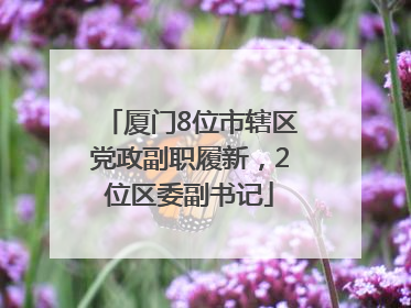 厦门8位市辖区党政副职履新，2位区委副书记