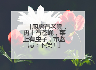 厨房有老鼠，肉上有苍蝇，菜上有虫子，市监局：下架！