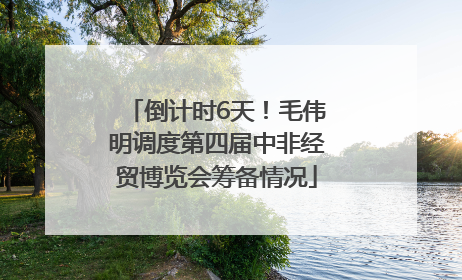 倒计时6天！毛伟明调度第四届中非经贸博览会筹备情况