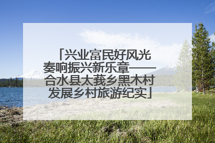 兴业富民好风光 奏响振兴新乐章——合水县太莪乡黑木村发展乡村旅游纪实