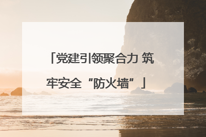 党建引领聚合力 筑牢安全“防火墙”
