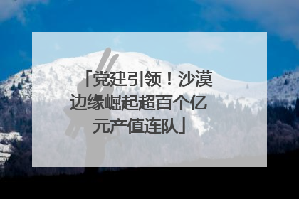 党建引领！沙漠边缘崛起超百个亿元产值连队