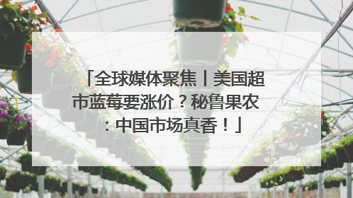 全球媒体聚焦丨美国超市蓝莓要涨价？秘鲁果农：中国市场真香！
