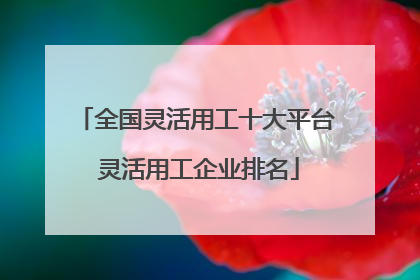 全国灵活用工十大平台 灵活用工企业排名