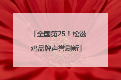 全国第25！松滋鸡品牌声誉刷新