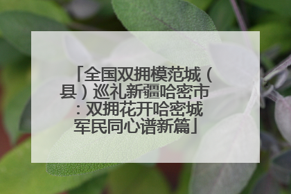 全国双拥模范城（县）巡礼新疆哈密市：双拥花开哈密城 军民同心谱新篇