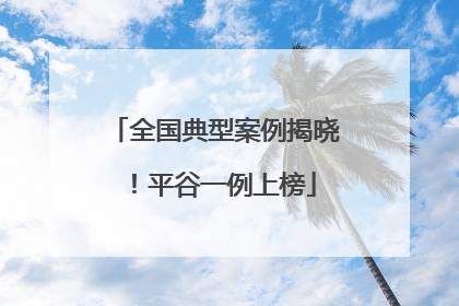全国典型案例揭晓！平谷一例上榜