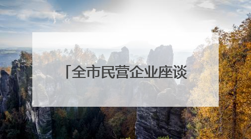 全市民营企业座谈会召开 韦韬出席并讲话 范兆森主持