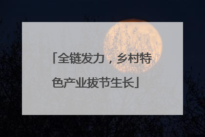 全链发力，乡村特色产业拔节生长