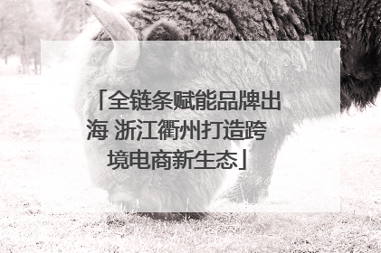 全链条赋能品牌出海 浙江衢州打造跨境电商新生态