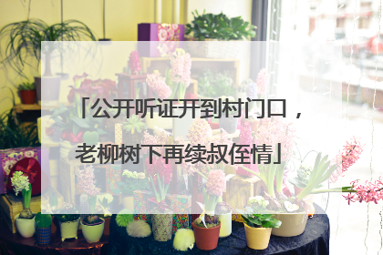 公开听证开到村门口，老柳树下再续叔侄情
