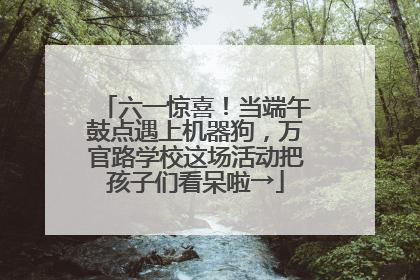 六一惊喜！当端午鼓点遇上机器狗，万官路学校这场活动把孩子们看呆啦→