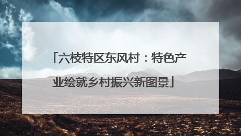 六枝特区东风村：特色产业绘就乡村振兴新图景